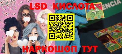 дмт Краснодар