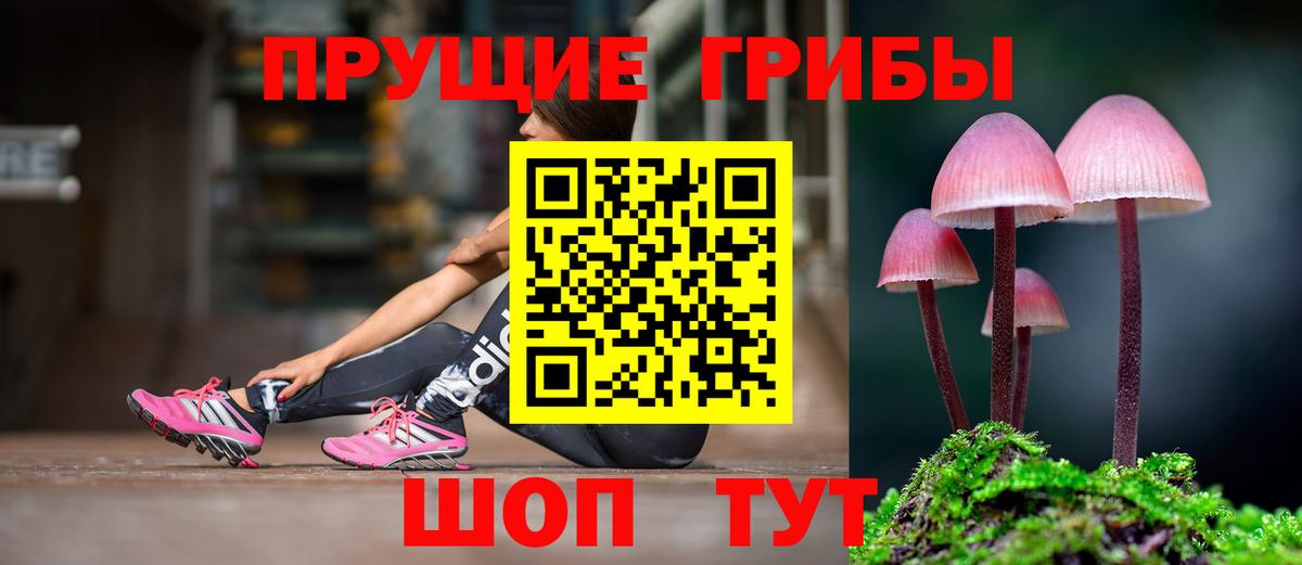Галлюциногенные грибы прущие грибы Звенигород